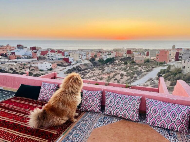 Surf and Hotel Camp Morocco: Complete Guide to Surf Accommodation in Tamraght 2025