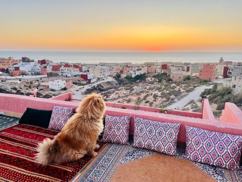 Surf and Hotel Camp Morocco: Complete Guide to Surf Accommodation in Tamraght 2025