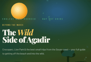 Endless Wave Morocco surf camp in Tamraght: Wild Side of Agadir Endless Wave Morocco
