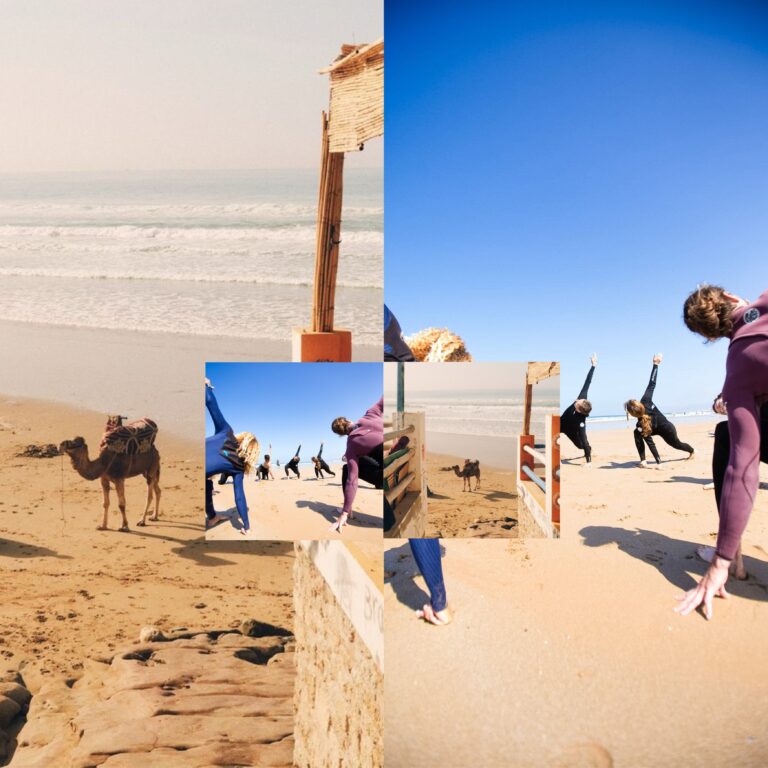 Camel on the beach and beach yoga near Agadir