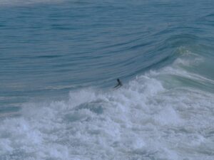 Surfer riding a wave in Taghazout, Morocco