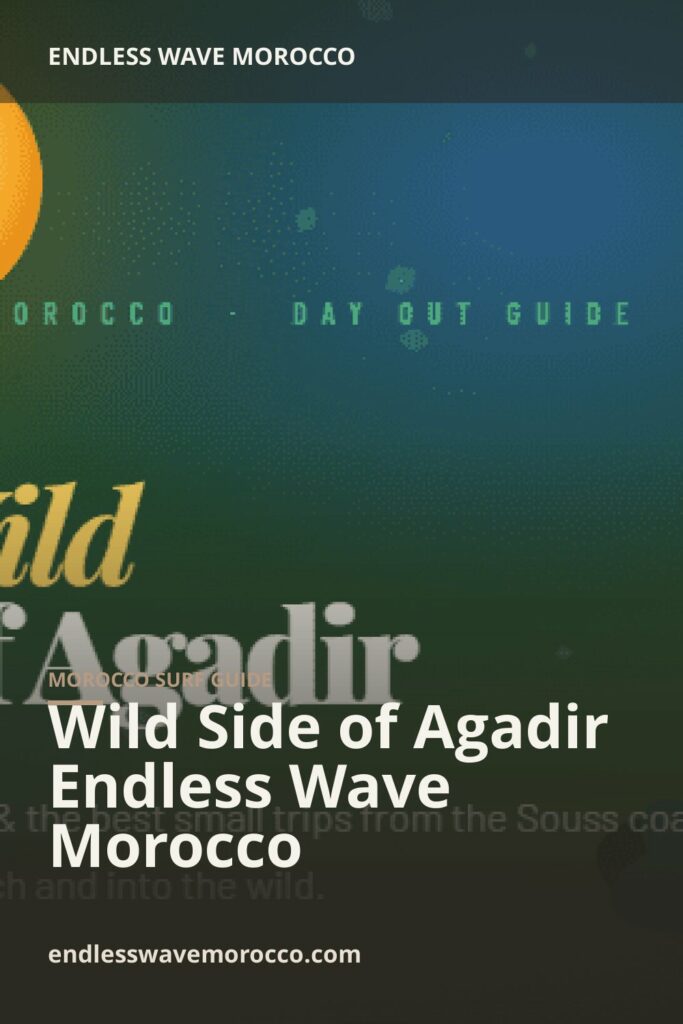 Wild Side of Agadir Endless Wave Morocco | Endless Wave Morocco